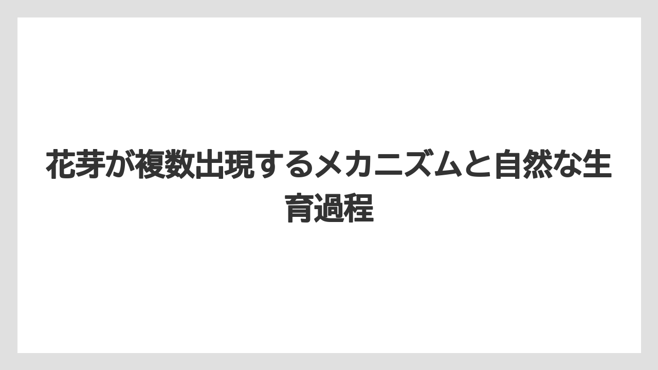 【栽培】【育て方】【胡蝶蘭】【花】花芽が複数出現するメカニズムと自然な生育過程