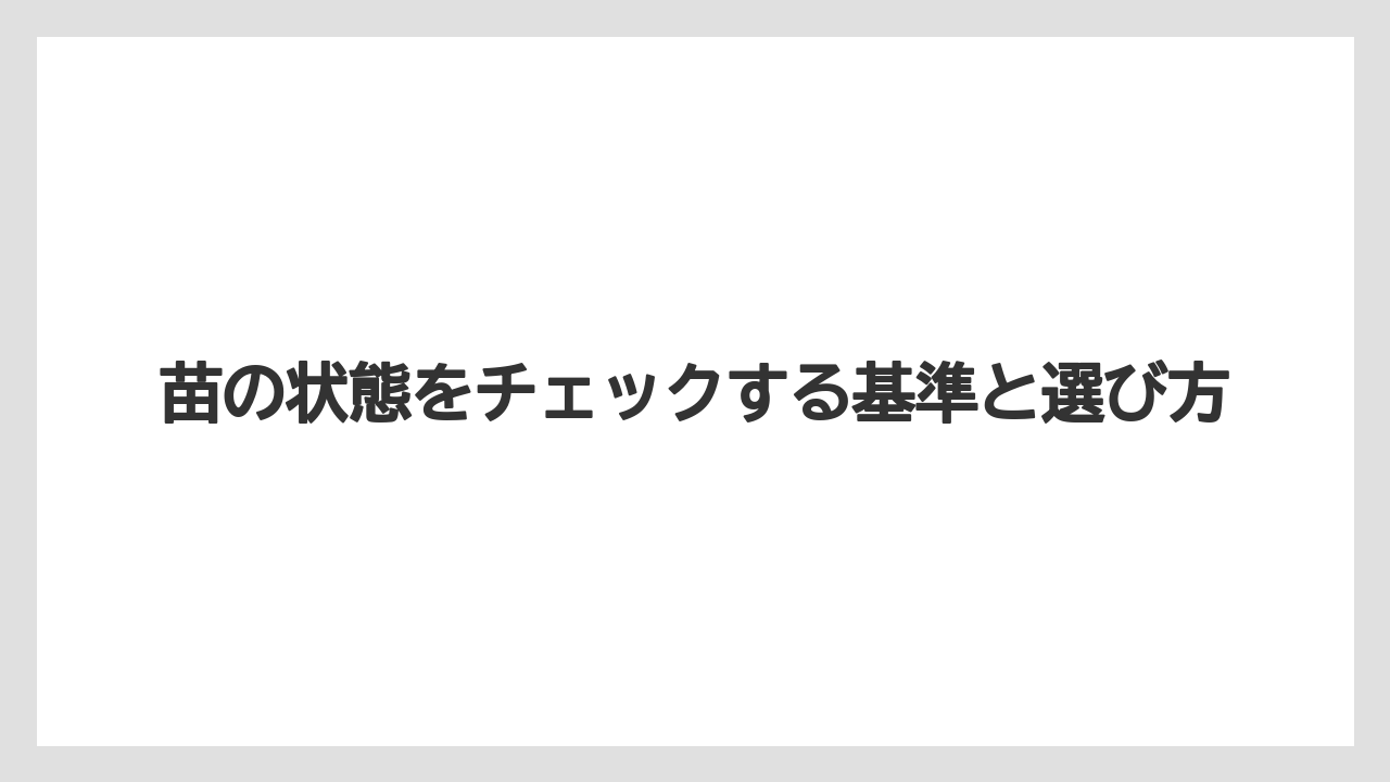 【コメリ】【栽培】【苗】【野菜】苗の状態をチェックする基準と選び方