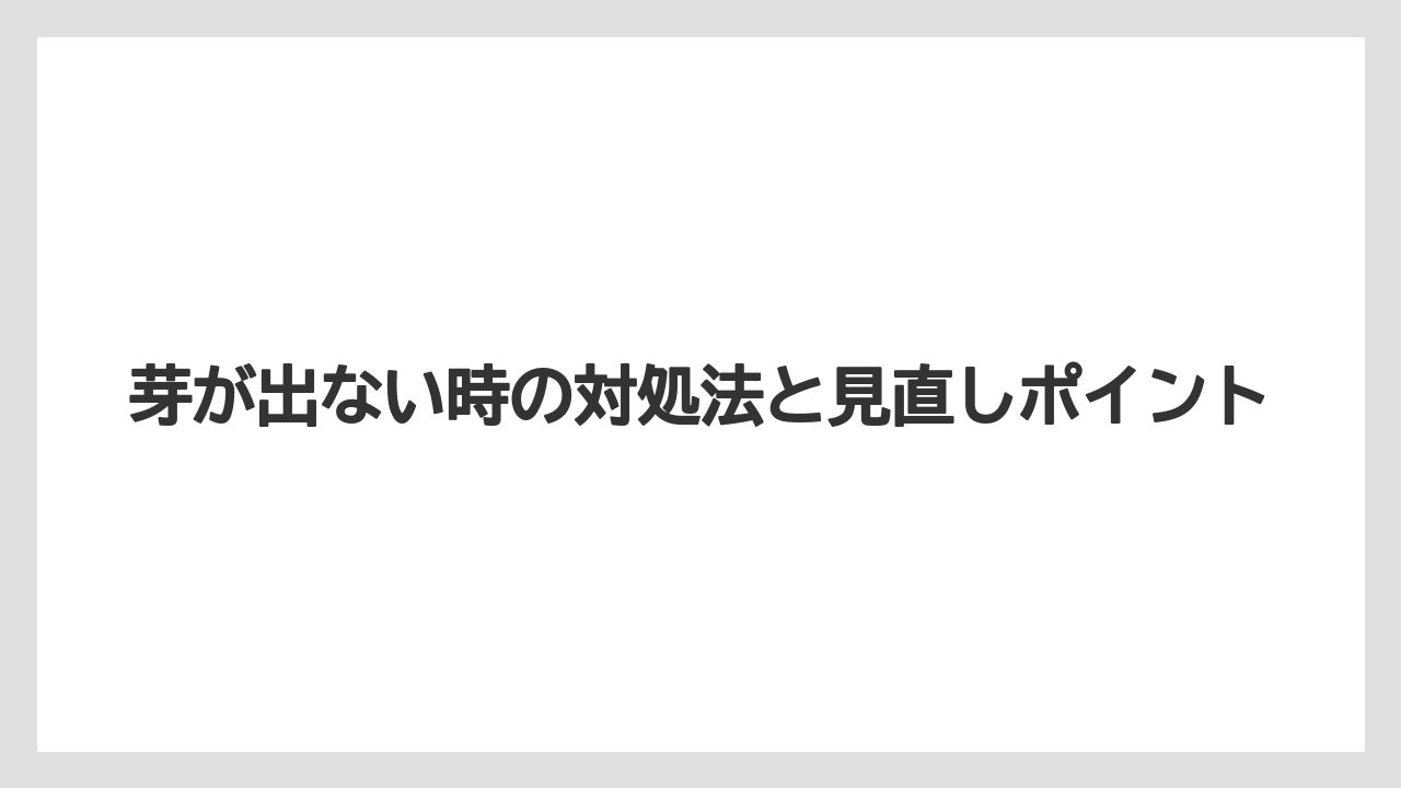 【マンゴー】【栽培】【水耕栽培】【種】芽が出ない時の対処法と見直しポイント