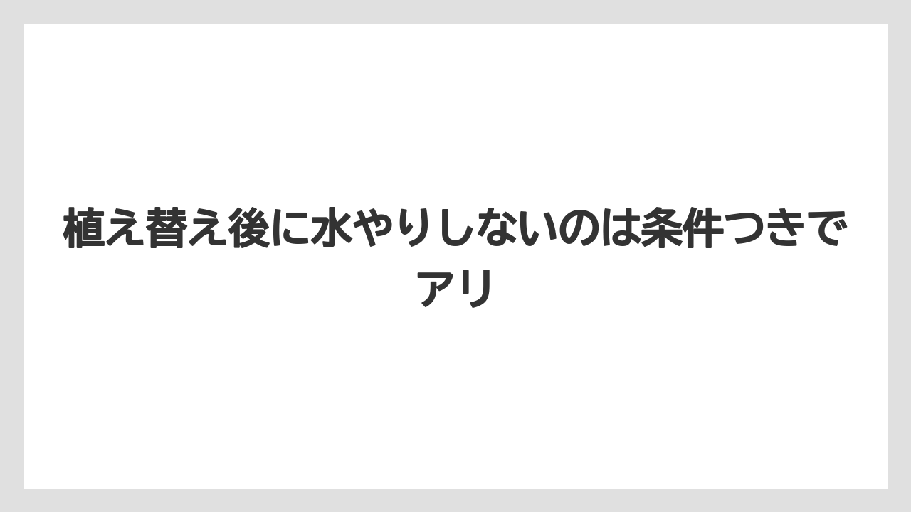 【アガベ】【サボテン】【多肉植物】【栽培】【肥料】植え替え後に水やりしないのは条件つきでアリ
