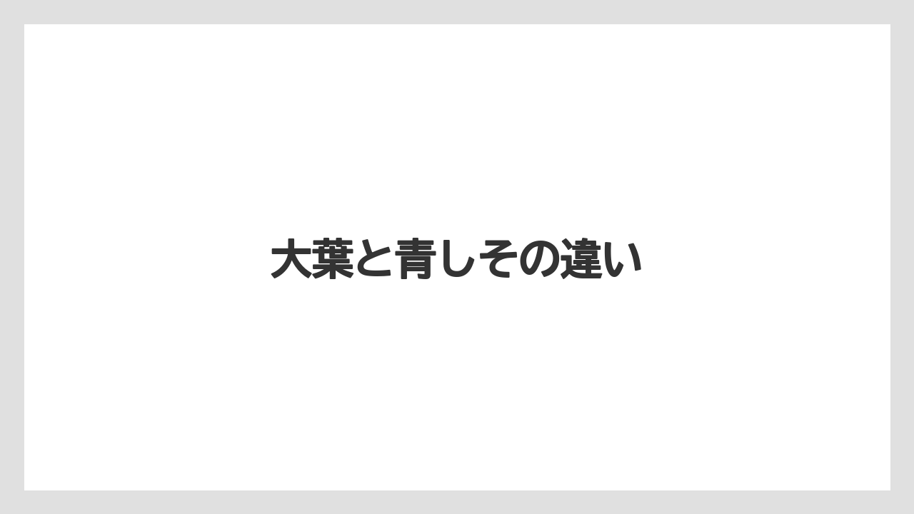 【大葉】【栽培】【育て方】【苗】大葉と青しその違い