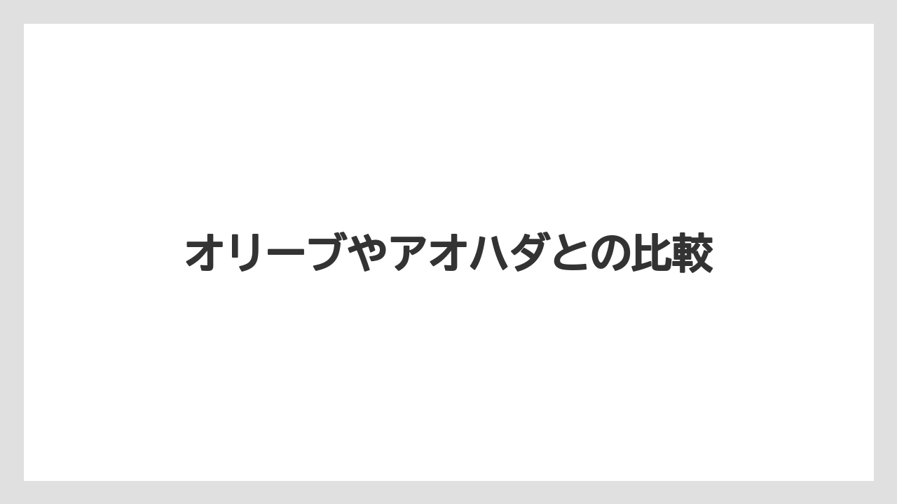 【オリーブ】【シマトネリコ】【ソヨゴ】【バラ】【後悔】オリーブやアオハダとの比較
