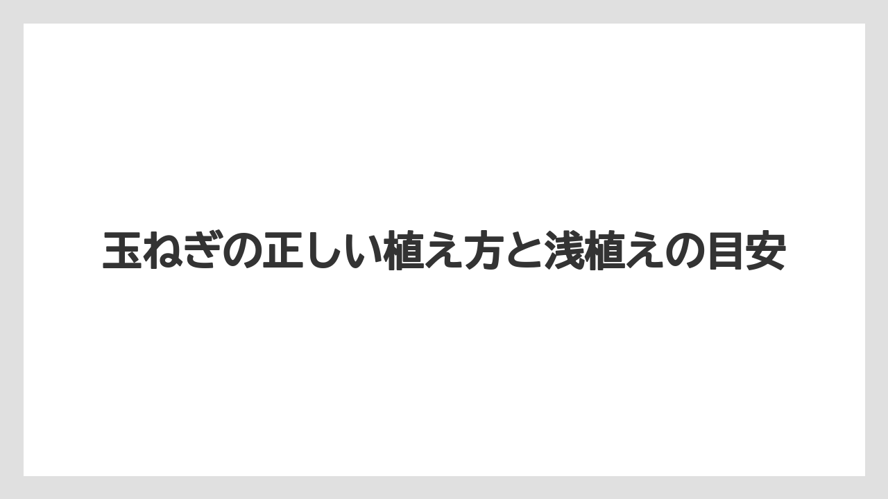 【ニラ】【ニンジン】【ニンニク】【ネギ】【玉ねぎ】玉ねぎの正しい植え方と浅植えの目安