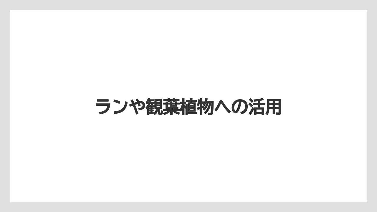 【100均】【デンドロビウム】【植え】【水やり】【育て方】ランや観葉植物への活用