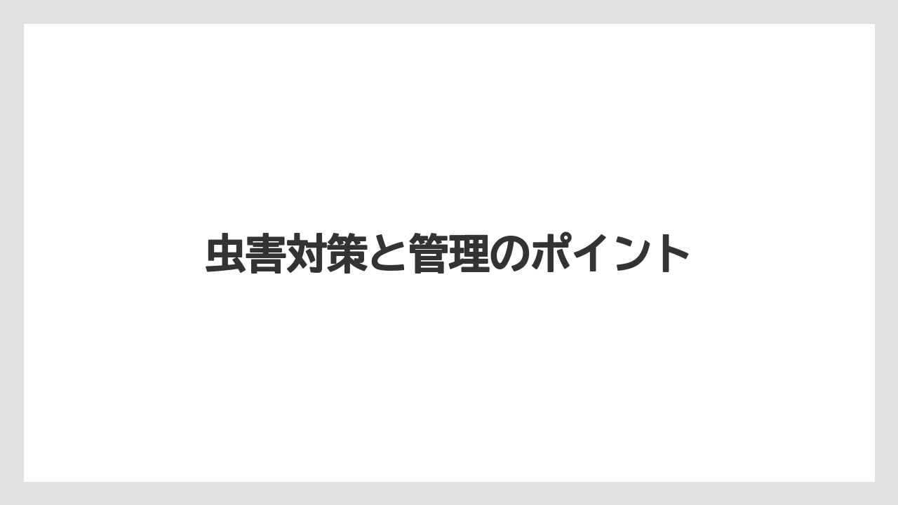 【大葉】【庭】【栽培】虫害対策と管理のポイント