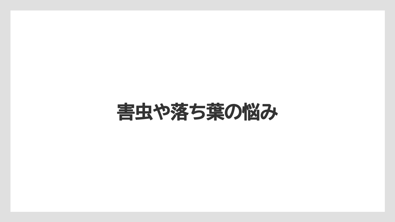 【デメリット】【レッドロビン】【剪定】【害虫】【水やり】害虫や落ち葉の悩み