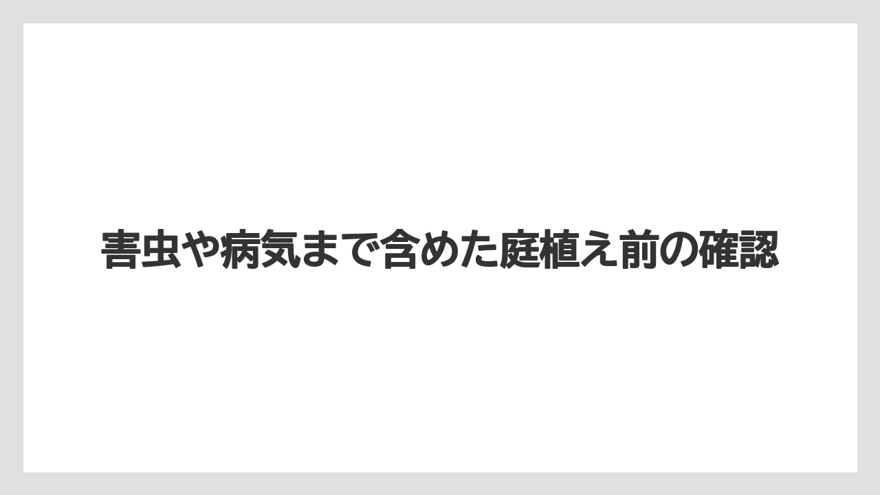 【栽培】【猫】【農業】害虫や病気まで含めた庭植え前の確認