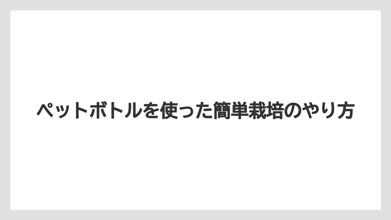 【大葉】【栽培】【水耕栽培】ペットボトルを使った簡単栽培のやり方