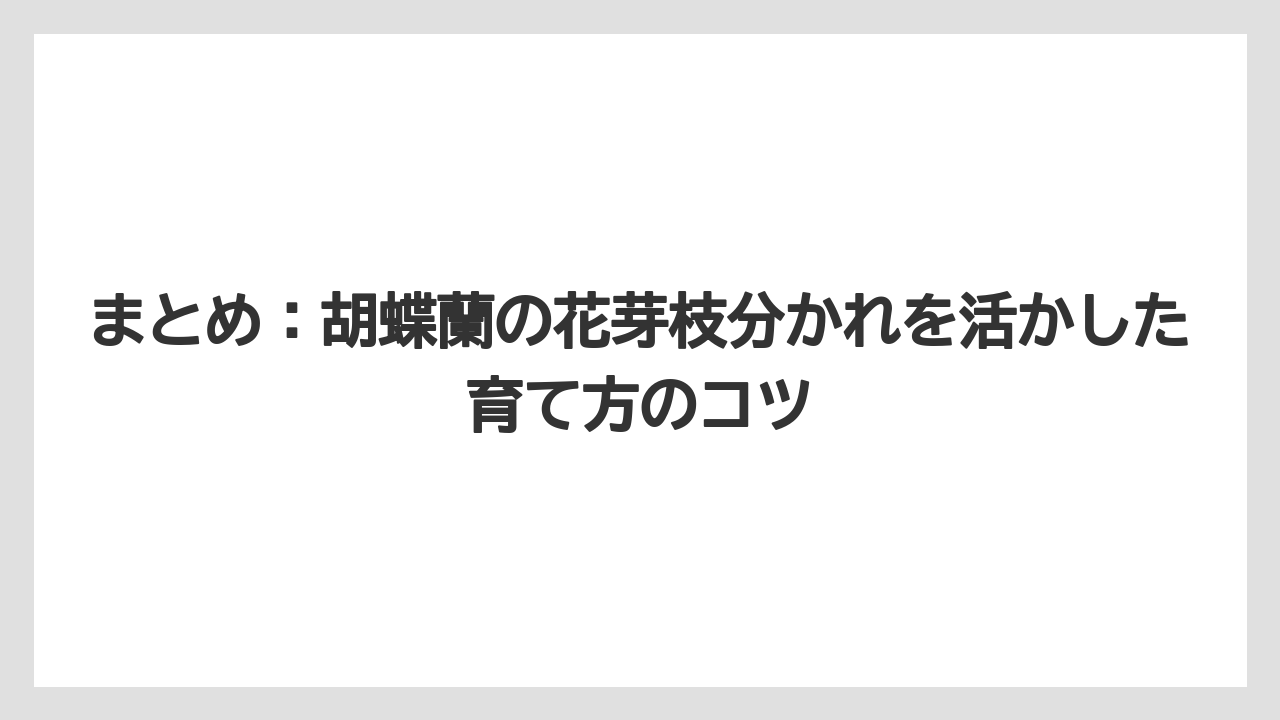 【栽培】【育て方】【胡蝶蘭】【花】まとめ：胡蝶蘭の花芽枝分かれを活かした育て方のコツ