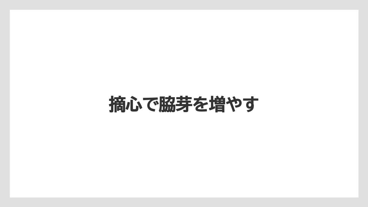 【バラ】【プランター】【水やり】【液体肥料】【草】摘心で脇芽を増やす
