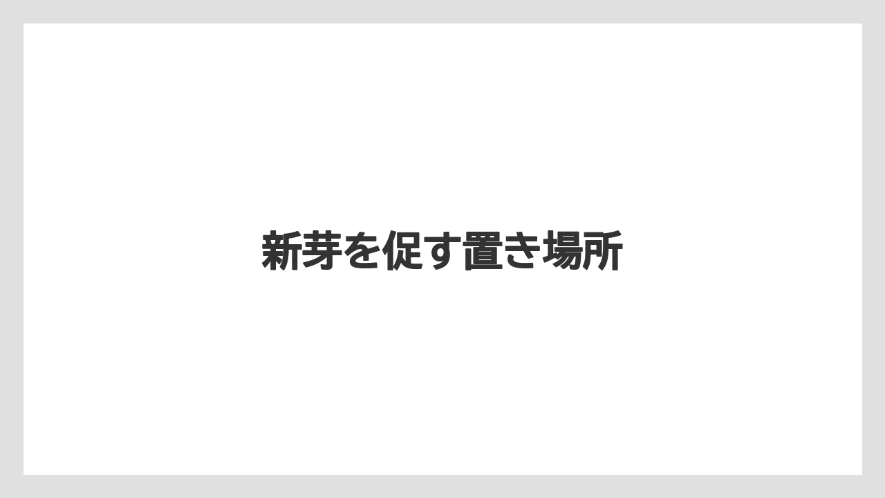 【バラ】【パキラ】【剪定】【水やり】【育て方】新芽を促す置き場所