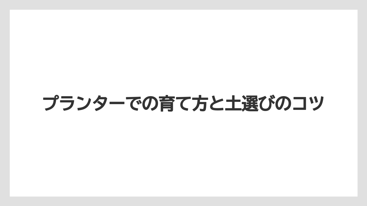 【大葉】【栽培】【育て方】【苗】プランターでの育て方と土選びのコツ