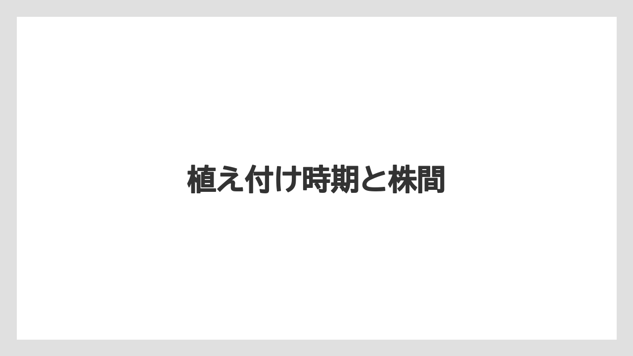 【栽培】【植え】【水やり】【種】【育て方】植え付け時期と株間