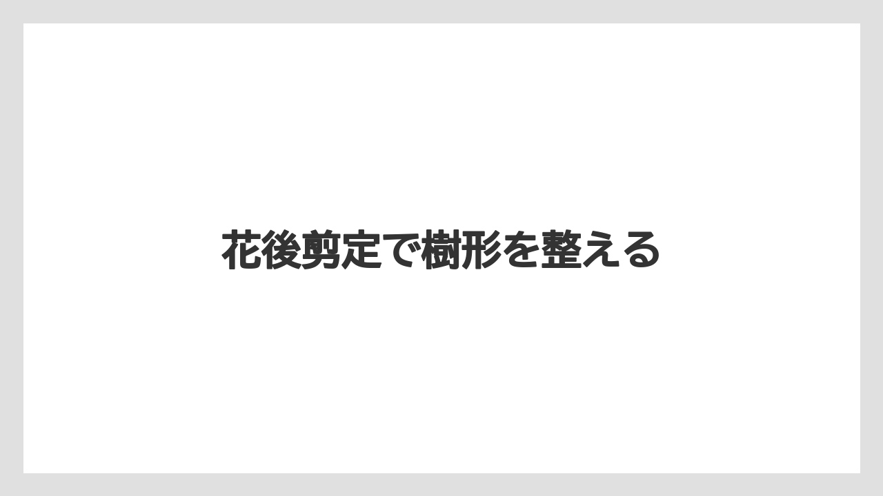【デメリット】【庭】【後悔】【木】【育て方】花後剪定で樹形を整える