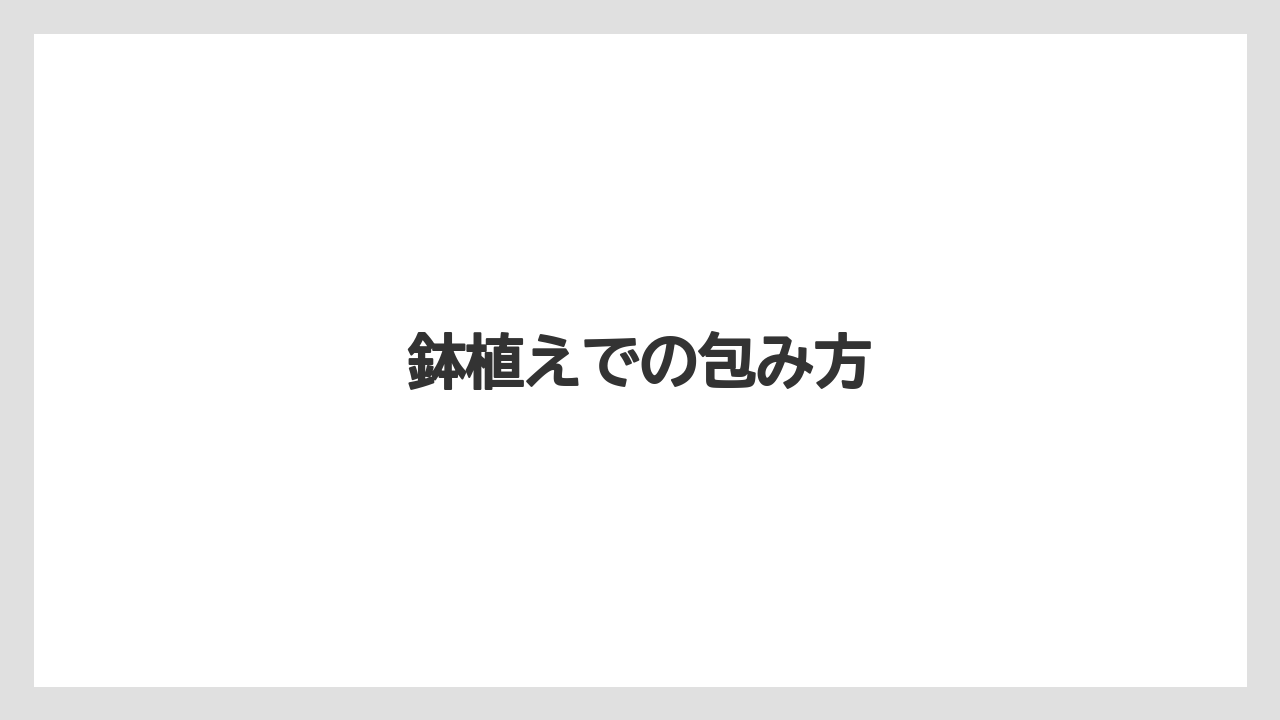 【100均】【デンドロビウム】【植え】【水やり】【育て方】鉢植えでの包み方