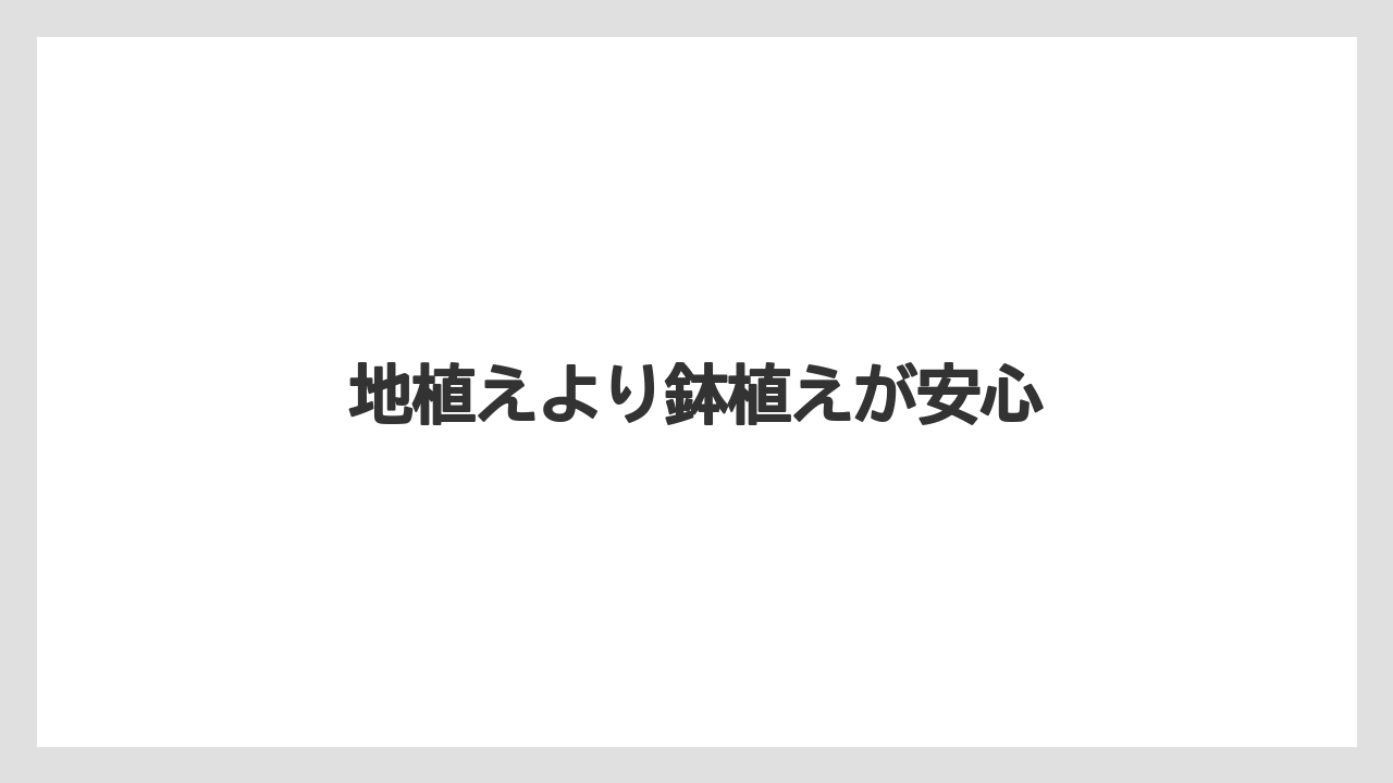 【いけない】【プランター】【植え】【水やり】【水耕栽培】地植えより鉢植えが安心