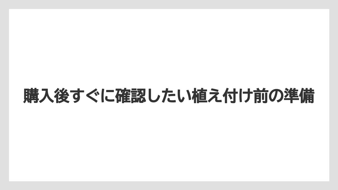 【スモークツリー】【栽培】【苗】購入後すぐに確認したい植え付け前の準備