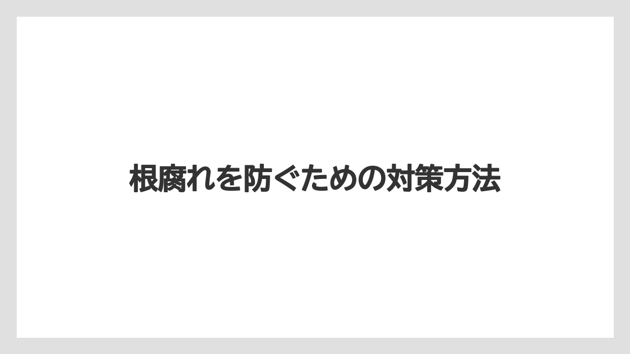 【ガジュマル】【栽培】【育て方】根腐れを防ぐための対策方法