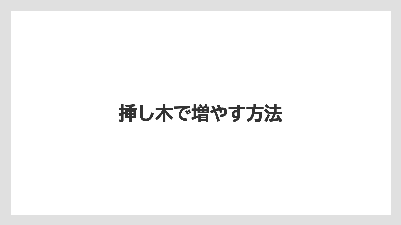 【バラ】【パキラ】【剪定】【水やり】【育て方】挿し木で増やす方法