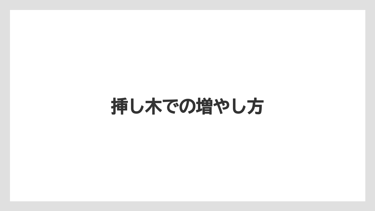 【ガジュマル】【栽培】【育て方】挿し木での増やし方