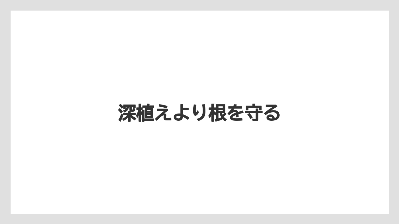 【バラ】【プランター】【水やり】【液体肥料】【草】深植えより根を守る