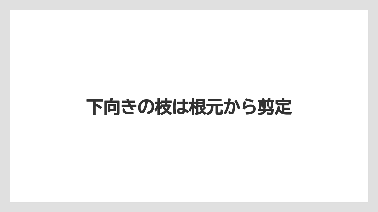 【エバーフレッシュ】【栽培】【育て方】下向きの枝は根元から剪定