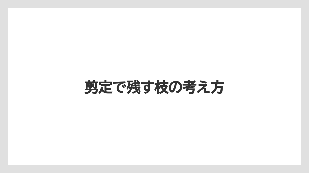 【レモン】【木】【水やり】【育て方】【苗】剪定で残す枝の考え方