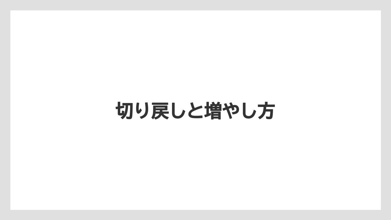 【栽培】【植え】【水やり】【種】【育て方】切り戻しと増やし方