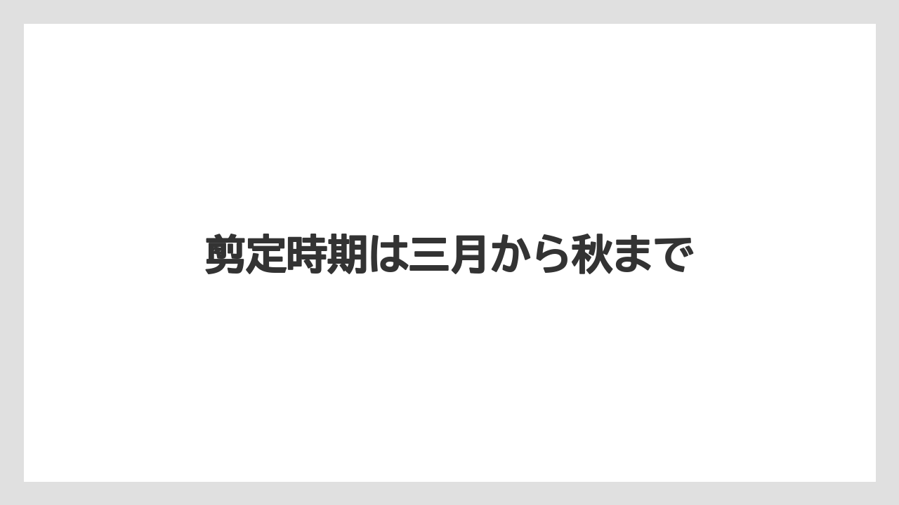 【レッドロビン】【剪定】【栽培】剪定時期は三月から秋まで