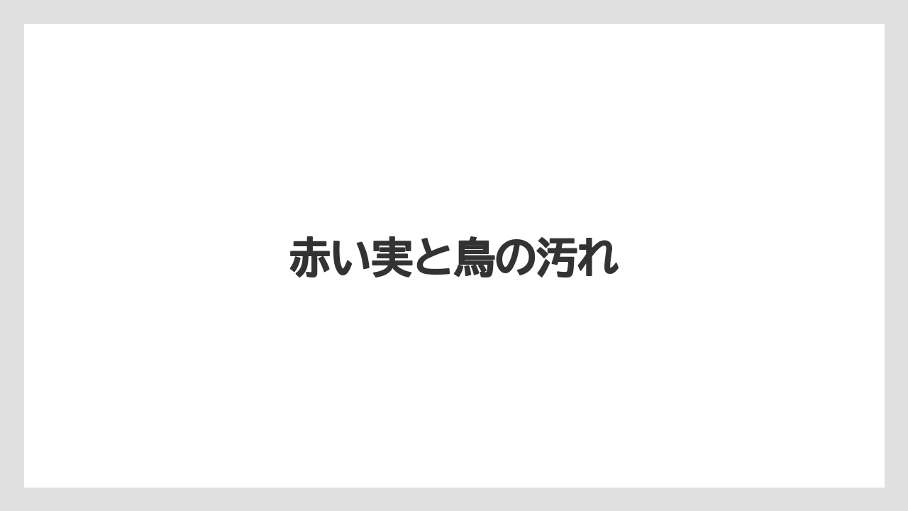 【オリーブ】【シマトネリコ】【ソヨゴ】【バラ】【後悔】赤い実と鳥の汚れ