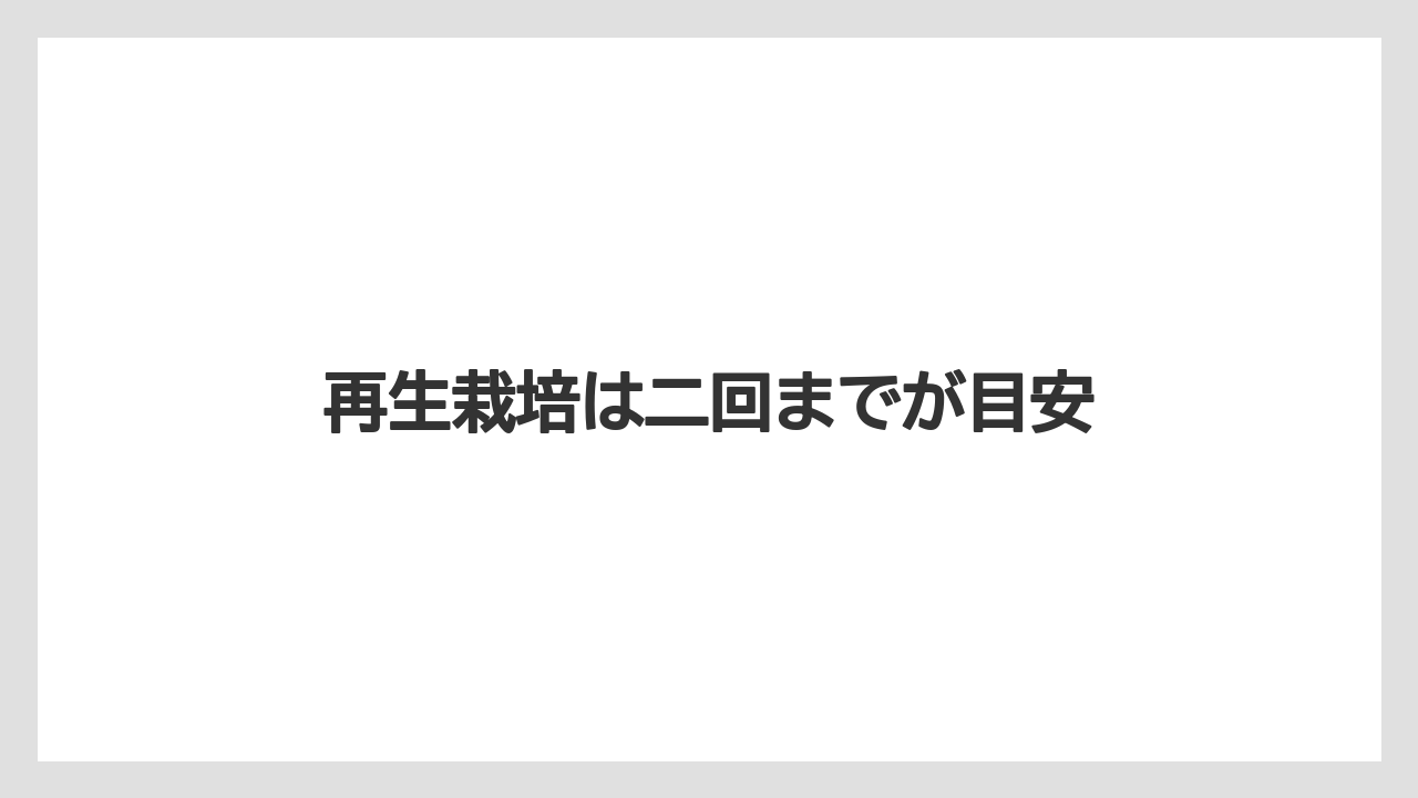 【いけない】【土】【庭】【植え】【豆苗】再生栽培は二回までが目安