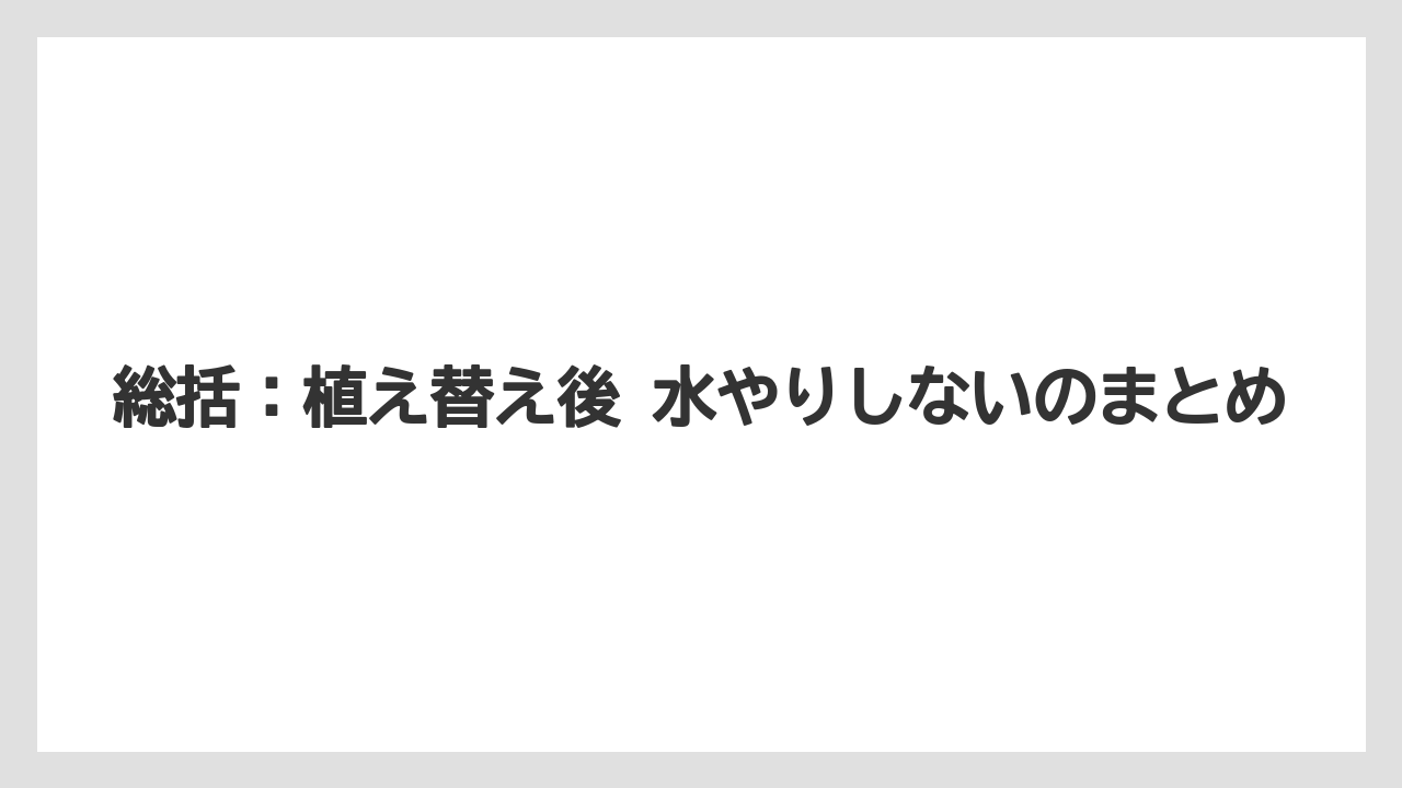 【アガベ】【サボテン】【多肉植物】【栽培】【肥料】総括：植え替え後 水やりしないのまとめ