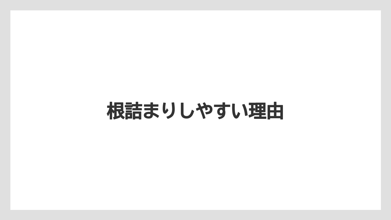 【シマトネリコ】【デメリット】【後悔】【植え】【鉢】根詰まりしやすい理由
