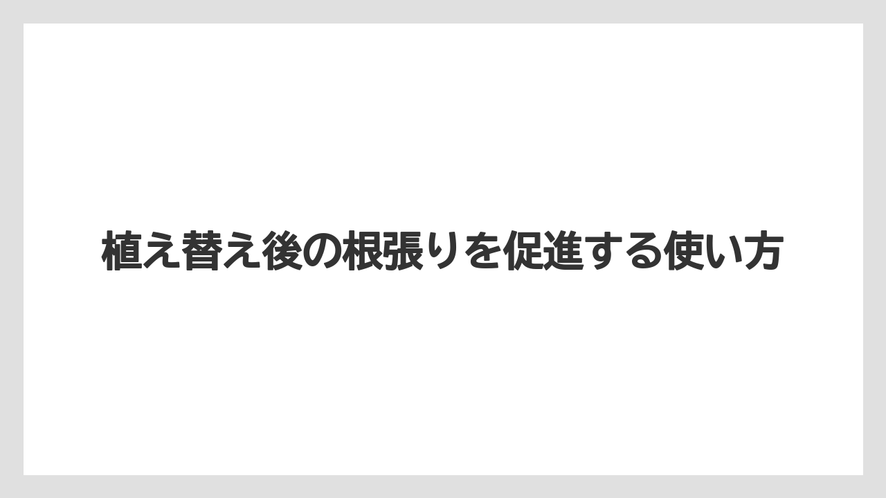 【アガベ】【リキダス】【栽培】植え替え後の根張りを促進する使い方