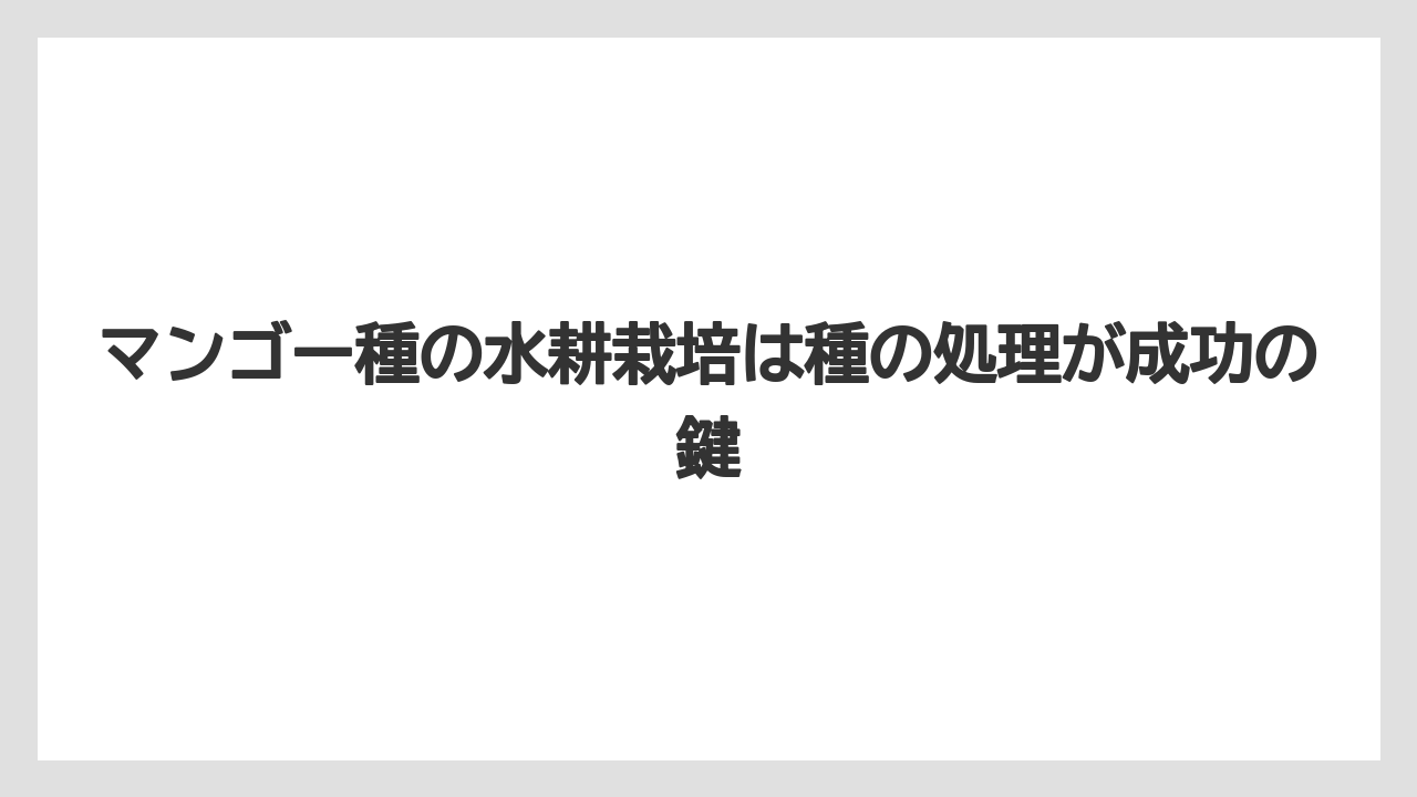 【マンゴー】【栽培】【水耕栽培】【種】マンゴー種の水耕栽培は種の処理が成功の鍵