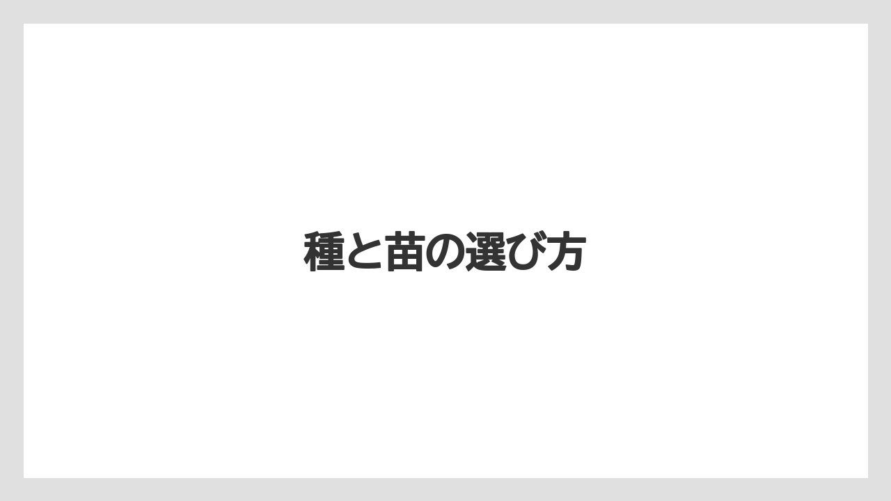 【栽培】【植え】【水やり】【種】【育て方】種と苗の選び方