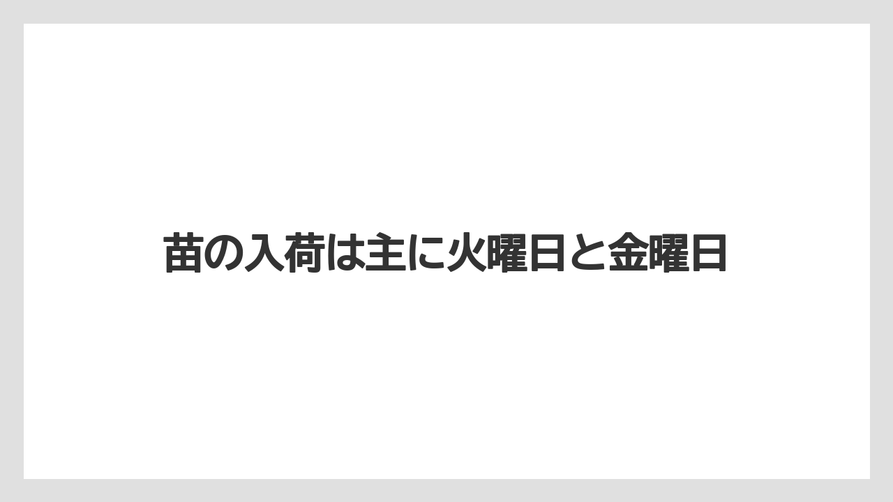 【コーナン】【栽培】【植物】【苗】苗の入荷は主に火曜日と金曜日