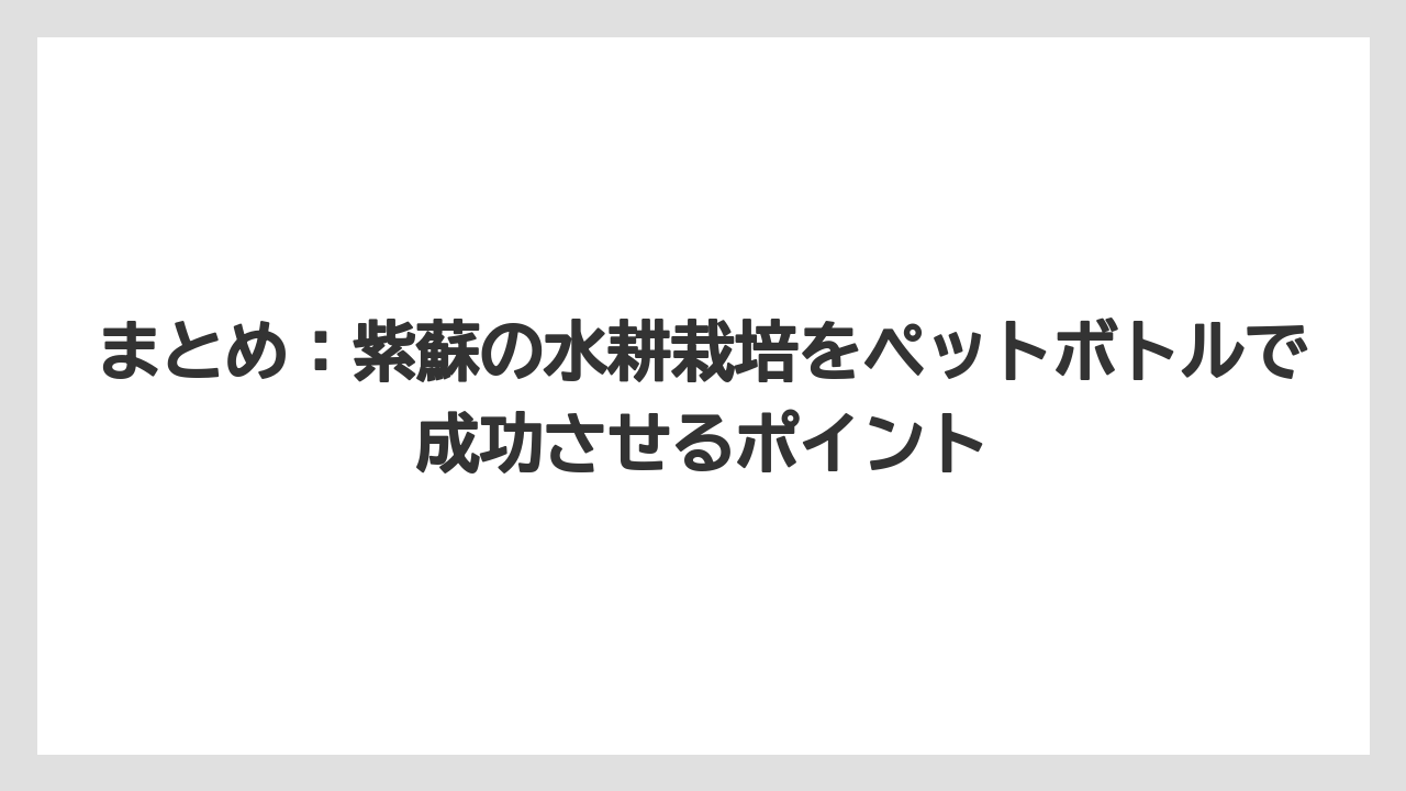 【栽培】【水耕栽培】【育て方】まとめ：紫蘇の水耕栽培をペットボトルで成功させるポイント