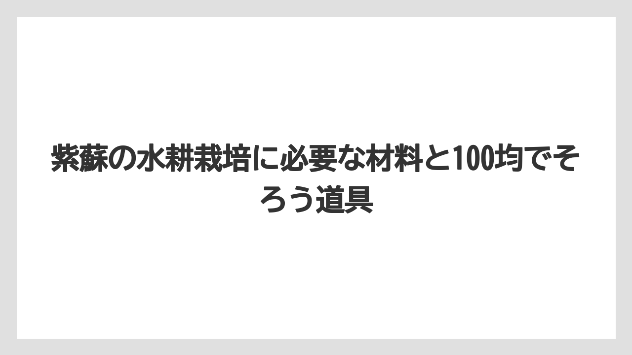 【栽培】【水耕栽培】【育て方】紫蘇の水耕栽培に必要な材料と100均でそろう道具