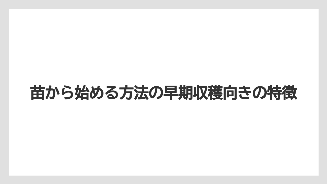 【栽培】【水耕栽培】【育て方】苗から始める方法の早期収穫向きの特徴