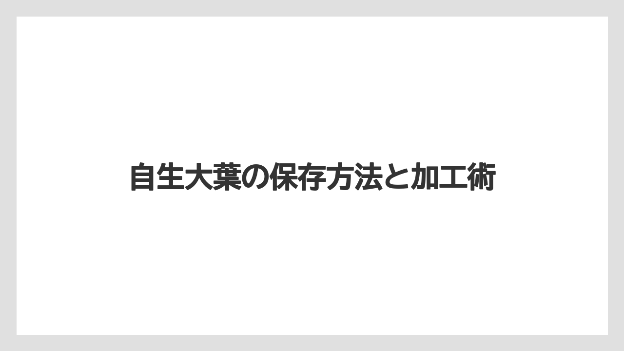 【大葉】【庭】【栽培】自生大葉の保存方法と加工術