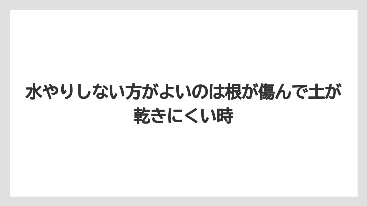 【アガベ】【サボテン】【多肉植物】【栽培】【肥料】水やりしない方がよいのは根が傷んで土が乾きにくい時