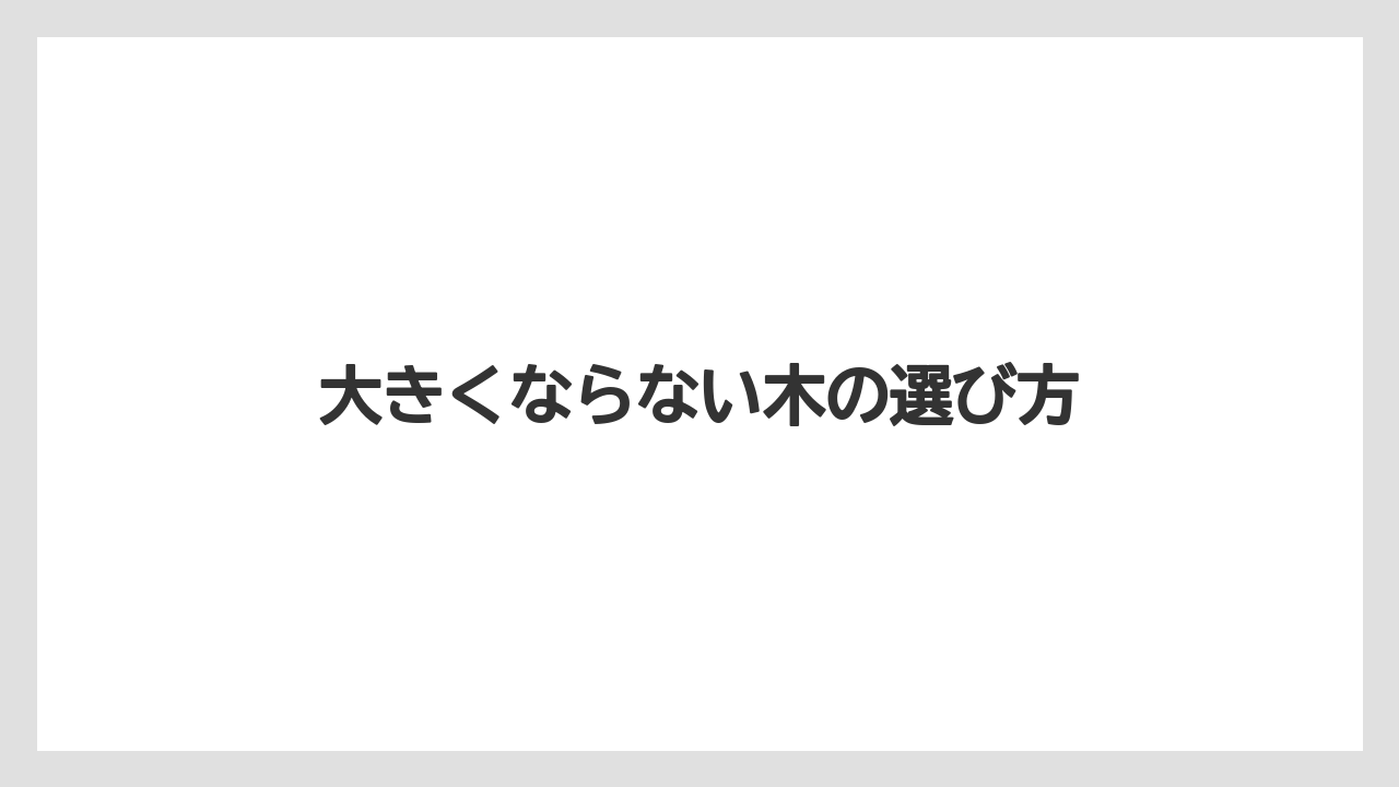 【オリーブ】【シマトネリコ】【ソヨゴ】【バラ】【後悔】大きくならない木の選び方