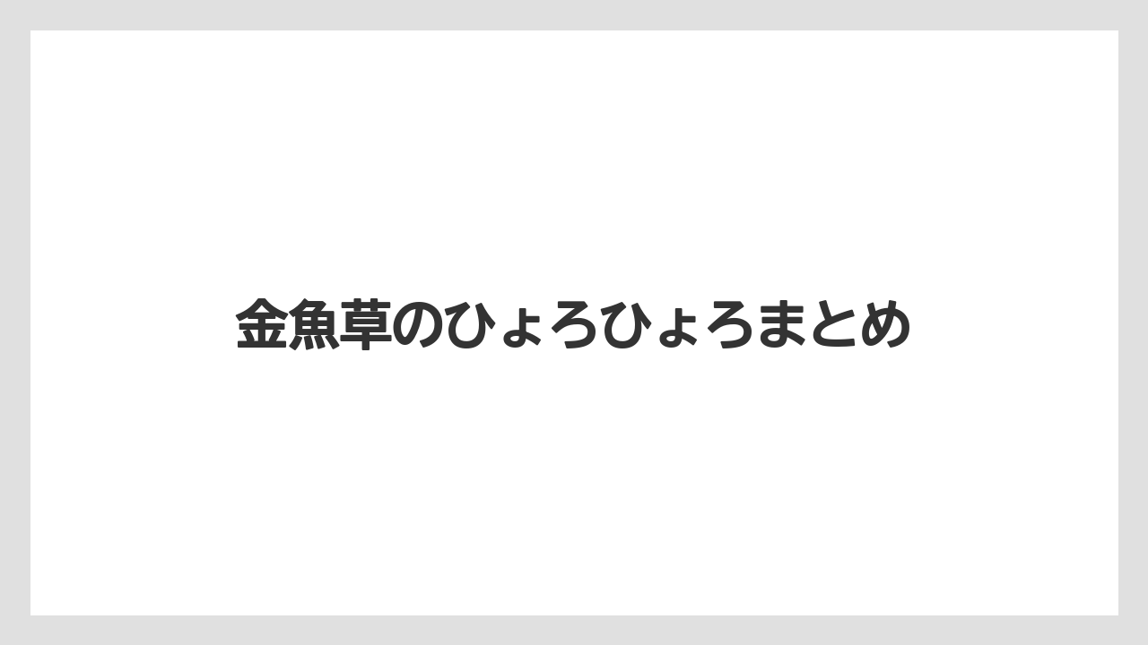 【バラ】【プランター】【水やり】【液体肥料】【草】金魚草のひょろひょろまとめ