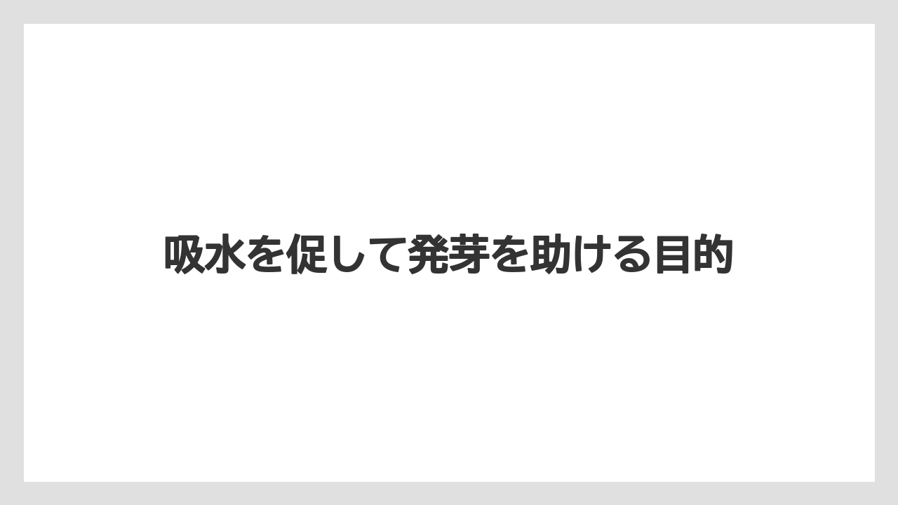 【栽培】【種】【農業】吸水を促して発芽を助ける目的