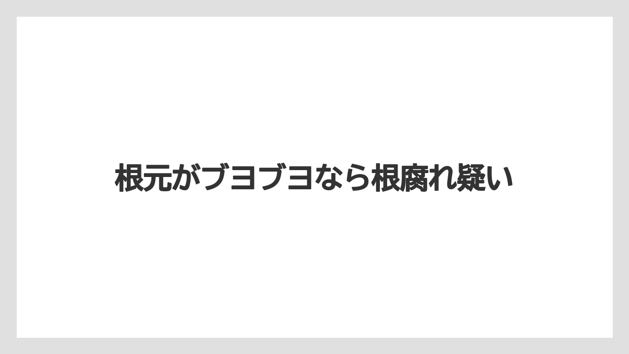 【いけない】【サンスベリア】【サンセベリア】【枯れ】【水やり】根元がブヨブヨなら根腐れ疑い