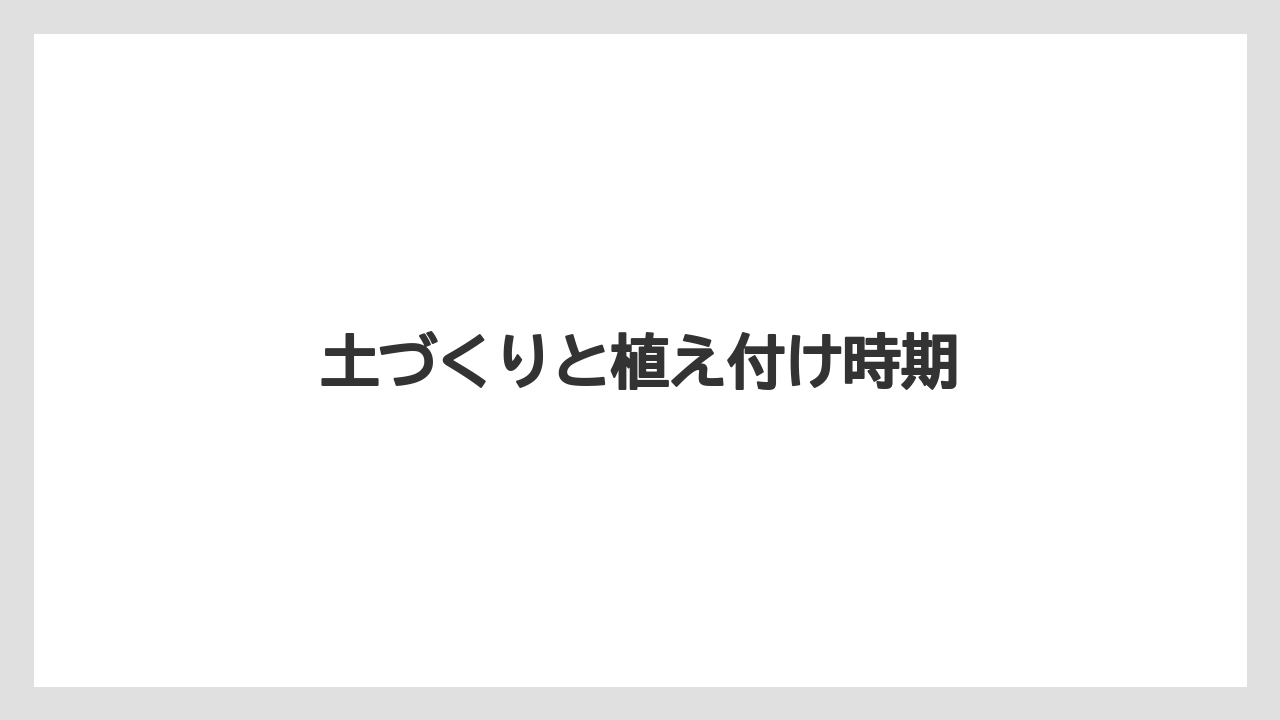 【レモン】【木】【水やり】【育て方】【苗】土づくりと植え付け時期