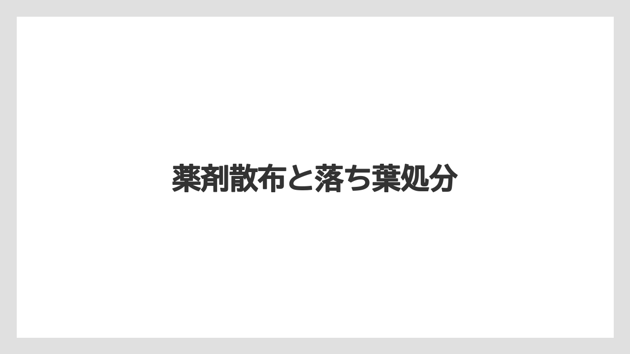 【レッドロビン】【剪定】【栽培】薬剤散布と落ち葉処分