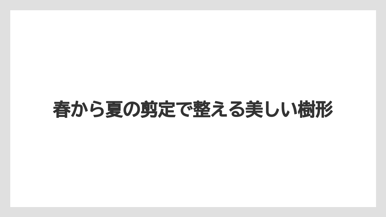 【エバーフレッシュ】【栽培】【育て方】春から夏の剪定で整える美しい樹形
