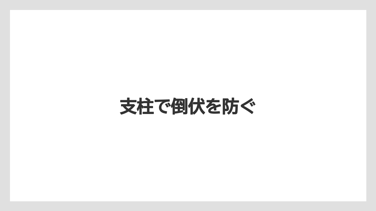 【デメリット】【庭】【後悔】【木】【育て方】支柱で倒伏を防ぐ